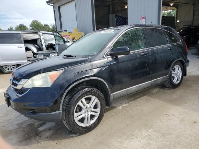 2010 Honda CR-V EXL