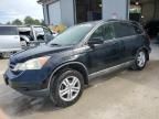 2010 Honda CR-V EXL