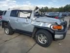 2008 Toyota FJ Cruiser