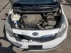 2014 KIA Rio EX