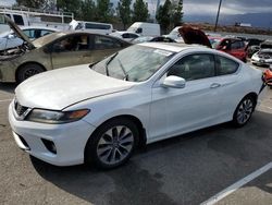 Honda salvage cars for sale: 2015 Honda Accord EXL