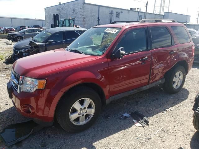 2011 Ford Escape XLT