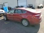 2016 Ford Fusion SE Phev