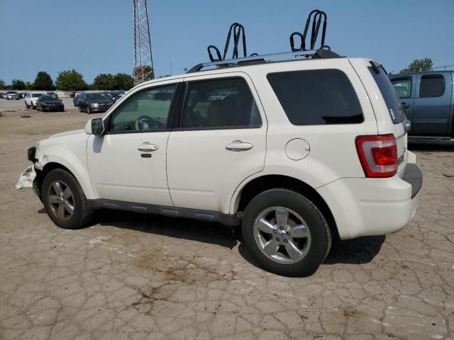 2011 Ford Escape Limited