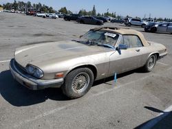 Vehiculos salvage en venta de Copart Rancho Cucamonga, CA: 1988 Jaguar XJS