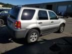 2005 Ford Escape XLT