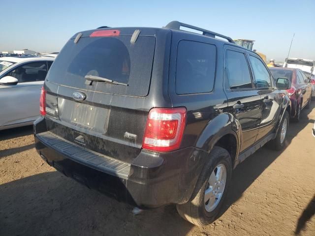 2010 Ford Escape XLT