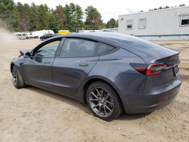 2020 Tesla Model 3