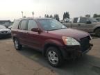 2004 Honda CR-V EX