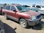 2001 Hyundai Santa FE GLS