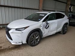 Salvage cars for sale at Houston, TX auction: 2016 Lexus NX 200T Base