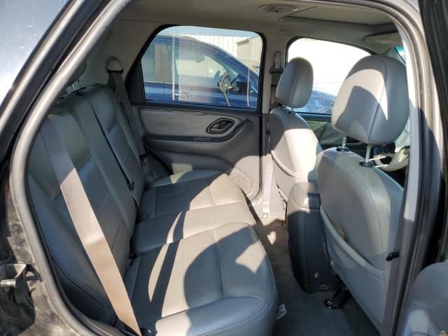 2005 Ford Escape XLT