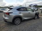 2020 Lexus NX 300