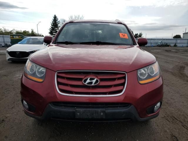 2010 Hyundai Santa FE SE