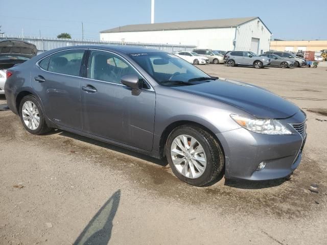 2014 Lexus ES 300H