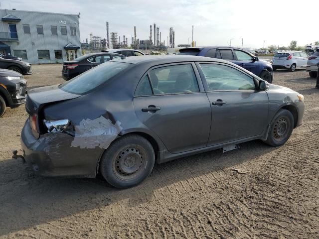 2010 Toyota Corolla Base