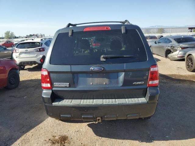 2008 Ford Escape XLT