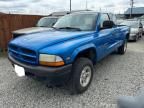 1998 Dodge Dakota