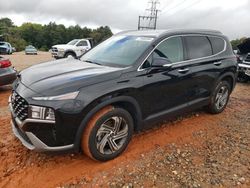 Salvage cars for sale at China Grove, NC auction: 2023 Hyundai Santa FE SEL