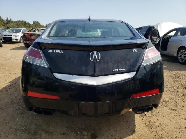 2010 Acura TL