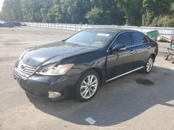 Salvage cars for sale at Glassboro, NJ auction: 2012 Lexus ES 350