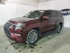 2020 Lexus GX 460 LUX