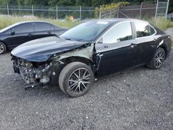 Toyota salvage cars for sale: 2023 Toyota Camry SE Night Shade