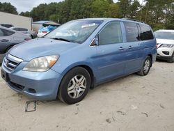 Salvage cars for sale at Seaford, DE auction: 2007 Honda Odyssey EXL