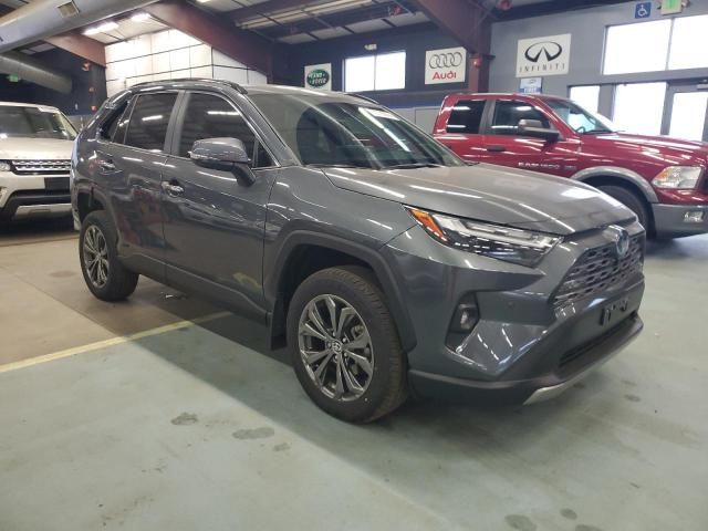 2024 Toyota Rav4 Limited