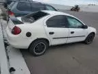 2001 Dodge Neon SE