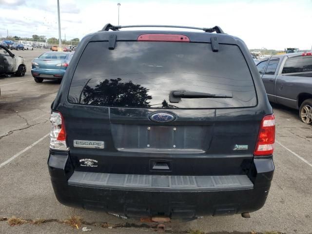 2010 Ford Escape XLT