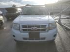 2011 Ford Escape XLS