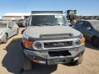 2007 Toyota FJ Cruiser