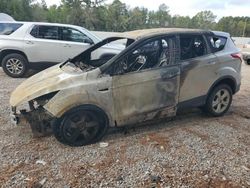 Salvage cars for sale at Greenwell Springs, LA auction: 2014 Ford Escape SE