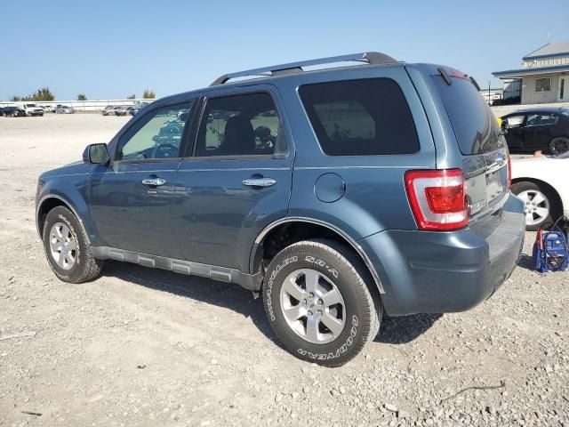 2010 Ford Escape Limited