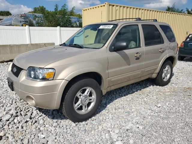 2007 Ford Escape Limited