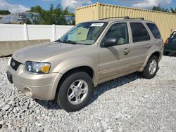 Ford salvage cars for sale: 2007 Ford Escape Limited