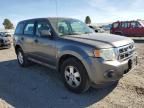 2009 Ford Escape XLS