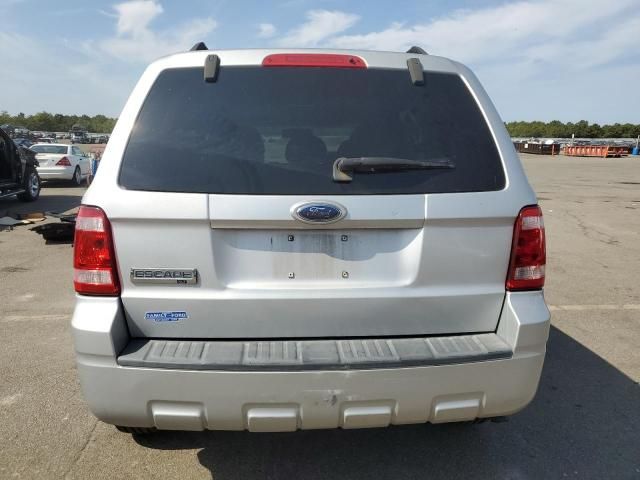 2009 Ford Escape XLT