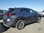 2022 Lexus NX 350H