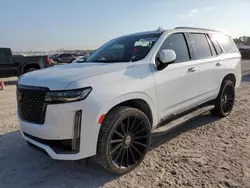 Salvage cars for sale at Houston, TX auction: 2023 Cadillac Escalade Premium Luxury