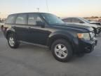 2009 Ford Escape XLS