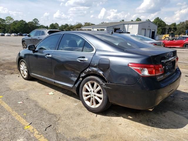 2010 Lexus ES 350