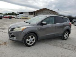 Salvage cars for sale at Corpus Christi, TX auction: 2013 Ford Escape SE