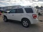 2009 Ford Escape Limited