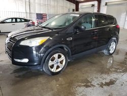 Salvage cars for sale at Avon, MN auction: 2014 Ford Escape SE