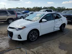 2014 Toyota Corolla L en venta en Louisville, KY