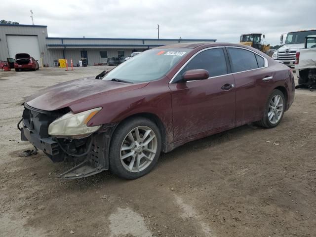 2010 Nissan Maxima S