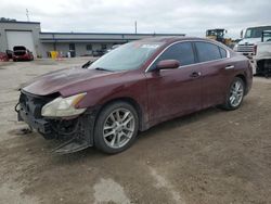 Salvage cars for sale at Harleyville, SC auction: 2010 Nissan Maxima S