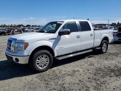 Ford salvage cars for sale: 2012 Ford F150 Supercrew